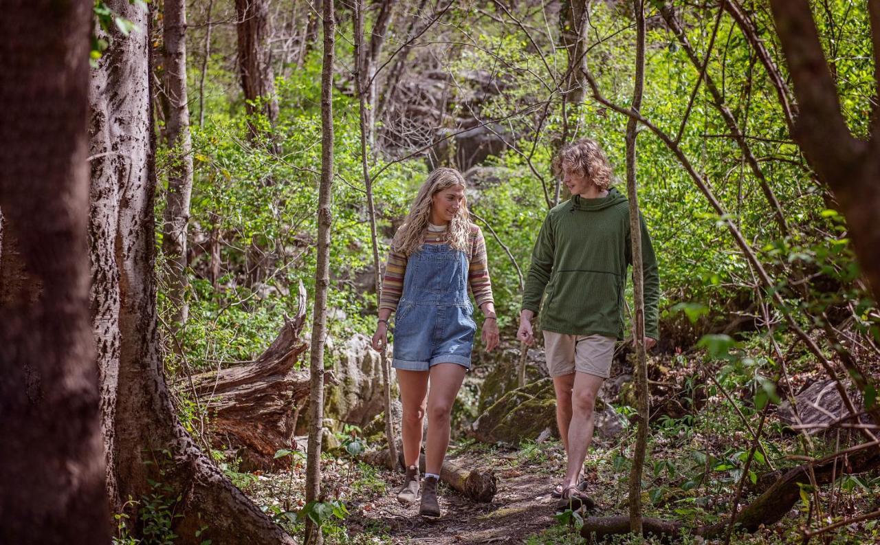Elise Cabin Forest Retreat 5 Mins To Downtown Chattanooga Eksteriør bilde